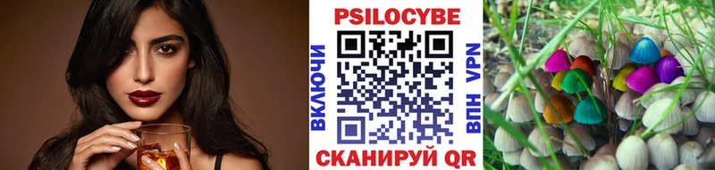 закладка Баксан Псилоцибиновые грибы GOLDEN TEACHER