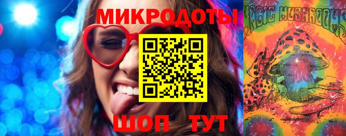 Псилоцибиновые грибы Psilocybine cubensis Баксан